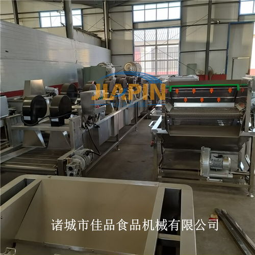 智能化净菜加工设备 气泡清洗、风干、速冻一体化解决方案